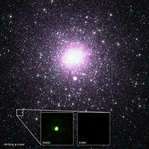 Crediti: X-ray: NASA/CXC/Univ. of Alberta/B.Tetarenko et al; Optical: NASA/STScI; Radio: NSF/AUI/NRAO/Curtin Univ./J. Miller-Jones