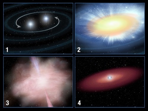 Questa sequenza illustra il passaggio dal lampo gamma breve all’esplosione di macronova: una coppia di stelle di neutroni in reciproca orbita (1) si scontrano, espellendo materiale altamente radioattivo (2); il materiale si riscalda e si espande, emettendo un intenso lampo gamma che dura appena un decimo di secondo (3), e un’emissione più debole ma molto più persistente, chiamata macronova (4). Credit: NASA, ESA, A. Field (STScI)