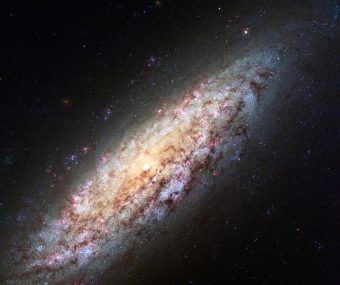 L’immagine mostra la galassia a spirale ‘disk-dominated’ NGC 6503, una delle 153 galassie oggetto di studio, ripresa dallo strumento Advanced Camera for Surveys installato a bordo del telescopio spaziale Hubble. Soprannominata anche Lost-in-Space galaxy, cioè galassia sperduta nello spazio, si tratta di una nana a spirale situata al limite di una regione dello spazio chiamata Vuoto Locale. La galassia non appartiene a un gruppo di galassie e quindi è gravitazionalmente isolata. Crediti: NASA, ESA, D. Calzetti (University of Massachusetts), H. Ford (Johns Hopkins University), Hubble Heritage (STScI/AURA)-ESA/Hubble Collaboration