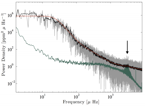 La potenza della variazione di luminosità in funzione della frequenza mostra la presenza di un chiaro aumento del segnale nella regione intorno ai 3 mHz (indicata dalla freccia), dovuta alle oscillazioni solari. Il segnale oscillatorio è molto contrastato per i dati VIRGO del Sole (in verde) ma solo appena visibile per i dati di Kepler (K2) provenienti dala luce riflessa da Nettuno (in grigio) a causa del ben più elevato livello di rumore del segnale. I risultati del fit sono mostrati dalla linea arancione, sovrapposta ad una curva in nero che mostra l’andamento del livello di rumore nei dati K2. Crediti: P. Gaulme