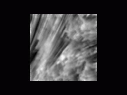 Filmato ad altissima risoluzione spaziale e cadenza temporale (3.9 s) con riprese  dello Swedish 1-m Solar Telescope che mostra la presenza di oscillazioni torsionali nel tubo di flusso magnetico interpretabili come onde di Alfvén. Cliccare sull’immagine per avviare l’animazione. Crediti: Srivastava et al., Scientific Reports, 2017