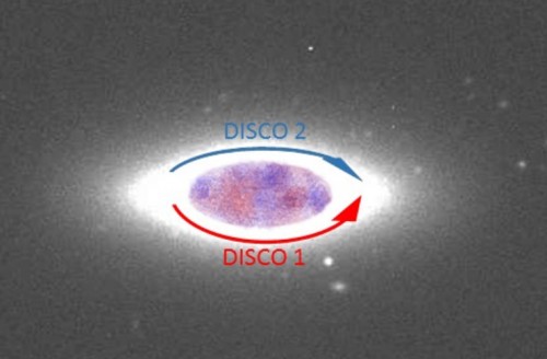 Rappresentazione schematica dei due dischi di stelle controrotanti in Ngc 1366. Crediti: Lorenzo Morelli / Univ. Padova