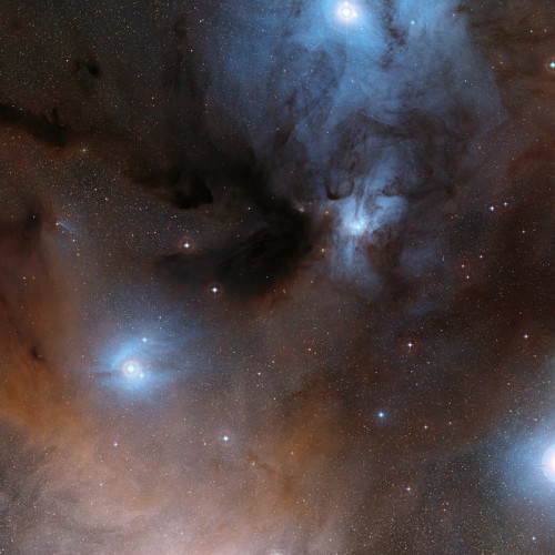 Questa panoramica mostra la spettacolare regione di nubi scure e brillanti che appartengono alla regione di formazione stellare nella costellazione di Ofiuco. Questa immagine è stata ottenuta a partire dai dati della DSS2 (Digitized Sky Survey 2). Crediti: ESO/Digitized Sky Survey 2