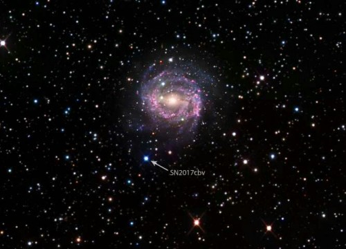 SN 2017cbv si trova nelle periferie della galassia a spirale NGC 5643, a 55 milioni di anni luce di distanza. Credit: B.J. Fulton/Caltech