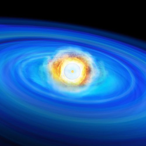 L’esplosione nucleare dello strato di elio superficiale ha innescato un’onda d’urto verso l’interno provocando la fusione nucleare di carbonio al centro. Crediti: Institute of Astronomy, University of Tokyo