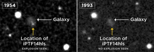 Un’immagine della Palomar Observatory Sky Survey mostra una possibile esplosione avvenuta nel 1954 nella posizione di iPTF14hls (a sinistra), assente nell’immagine successiva, che risale al 1993 (a destra). Crediti: Poss/Dss/Lco/S. ​Wilkinson