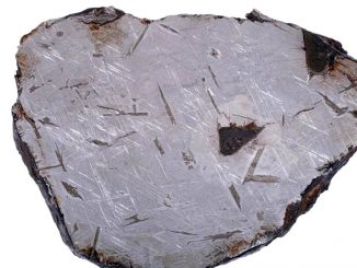 Un frammento del Meteorite di Saint Aubin esposto al Museo di Storia Naturale in Francia