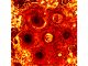 immagine a infrarossi del polo sud di Giove, scattata il 4 novembre 2019,
