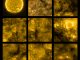 Prime viste del Sole, riprese dal Solar Orbiter a maggio del 2020. Credit ESA
