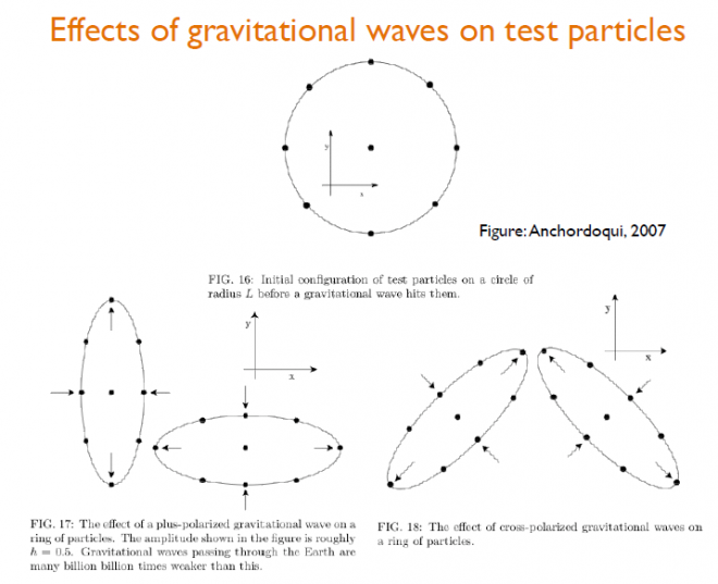 Esempio dell'effetto delle onde gravitazionali su particelle test. Fonte: UniPd