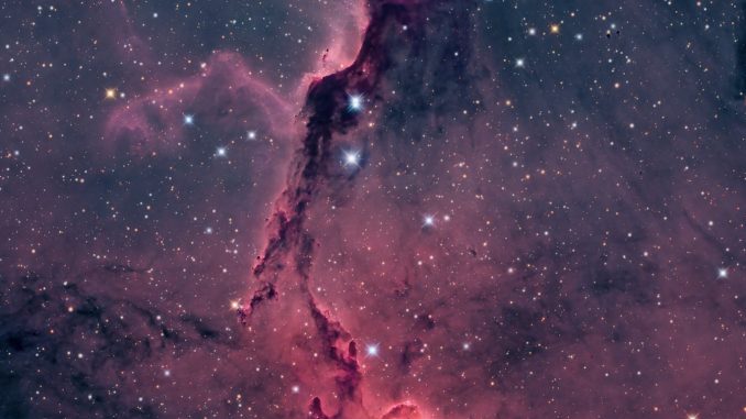 elephant trunk nebula