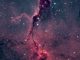 elephant trunk nebula