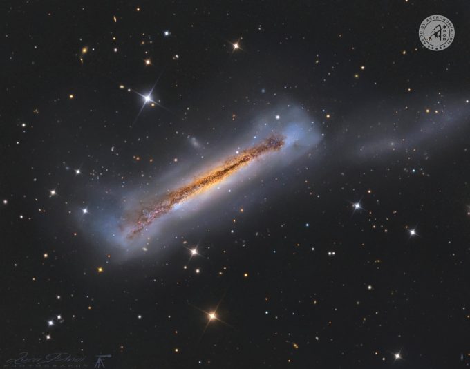 Galassia Hamburger NGC 3628 - Luca Dinoi - vincitore APOD 8 Maggio 2022