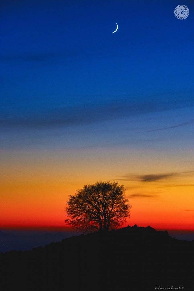 La Luna e il faggio solitario - Crediti: Alessandro Gnesotto