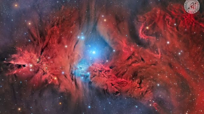 NGC2264