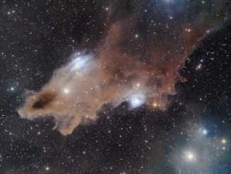 LDN 1235, Uno squalo nel Cefeo