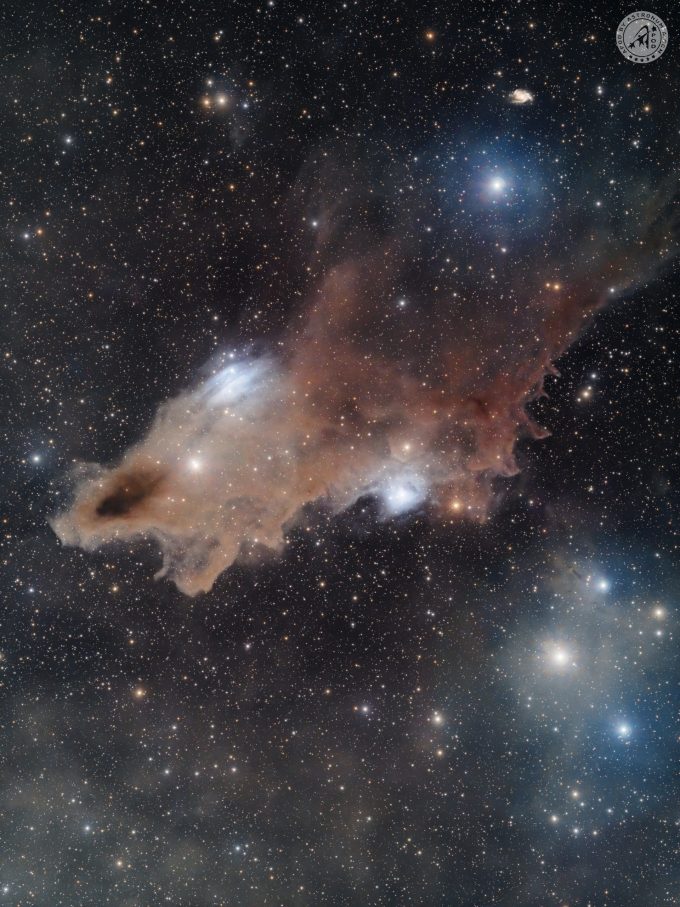 LDN 1235, Uno squalo nel Cefeo