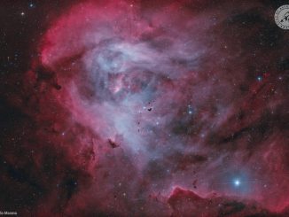 Dark Seeds in the Running Chicken Nebula