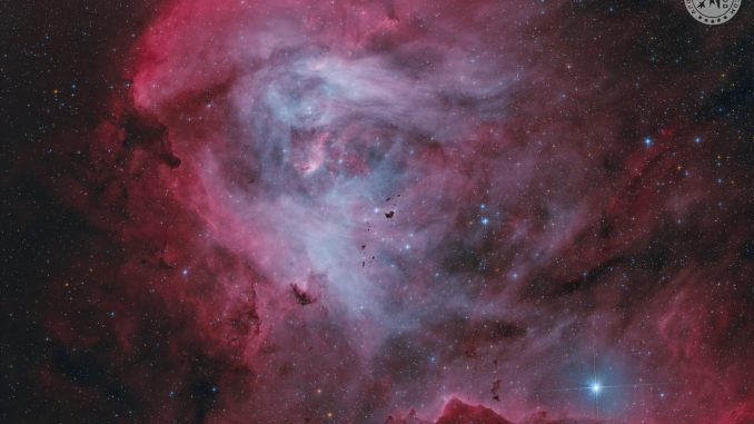 Dark Seeds in the Running Chicken Nebula