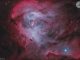 Dark Seeds in the Running Chicken Nebula